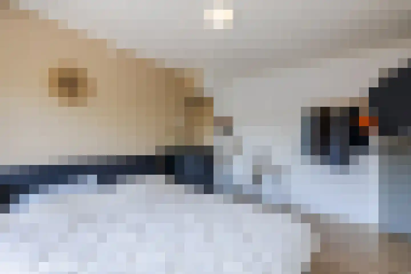 Seendlaan 6 Rolde thumbnail 27