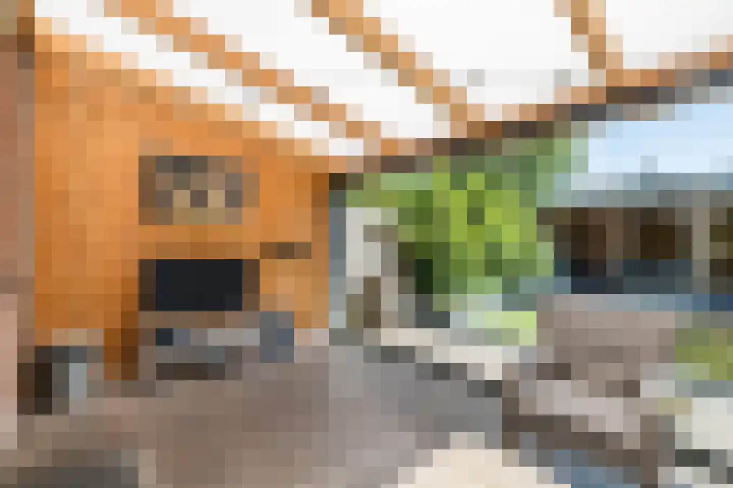 Seendlaan 6 Rolde thumbnail 37