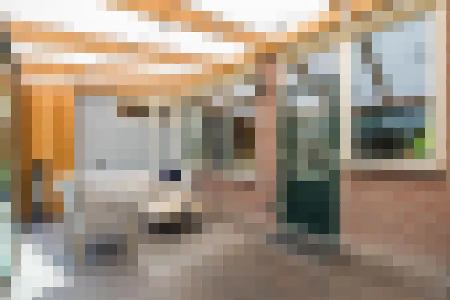 Seendlaan 6 Rolde thumbnail 38