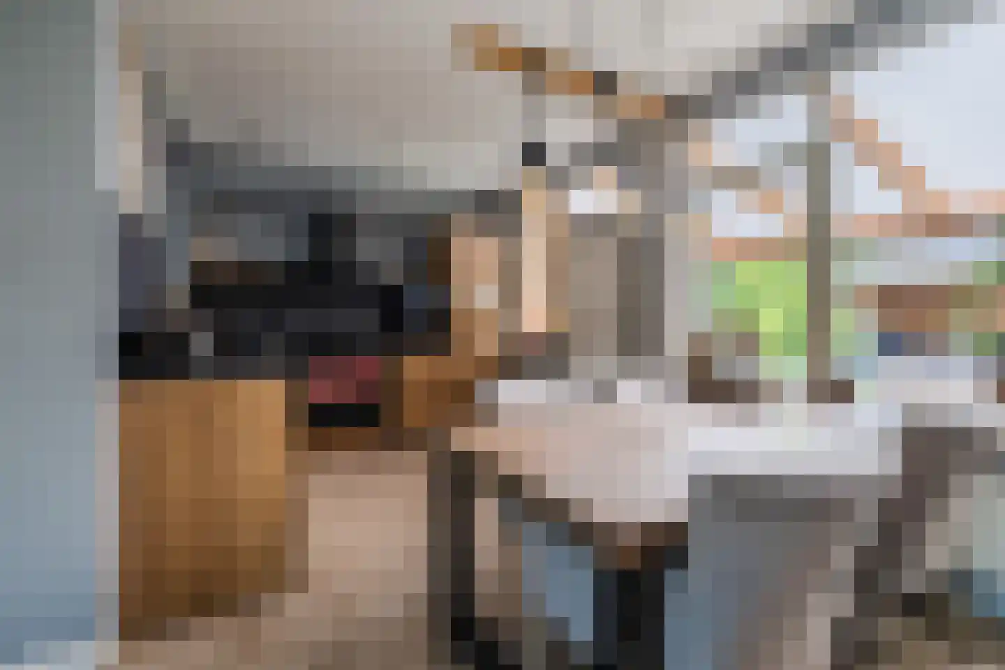 Seendlaan 6 Rolde thumbnail 6