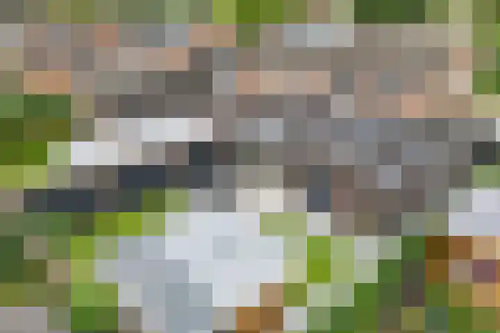 Seendstraat 1 in Sleen