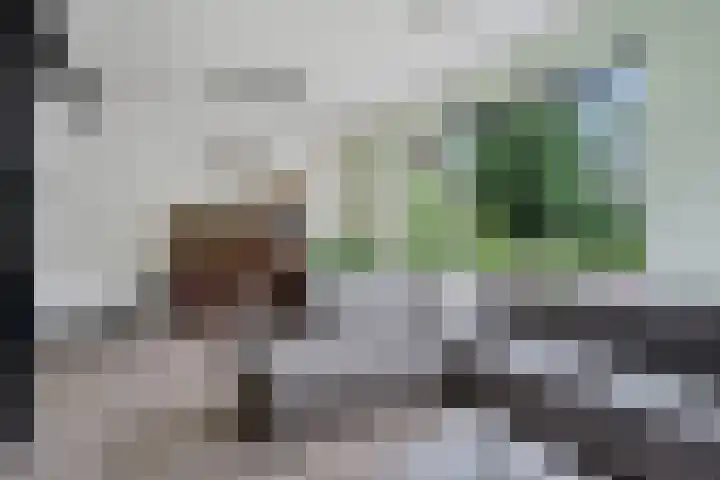 Seendstraat 1 Sleen thumbnail 10