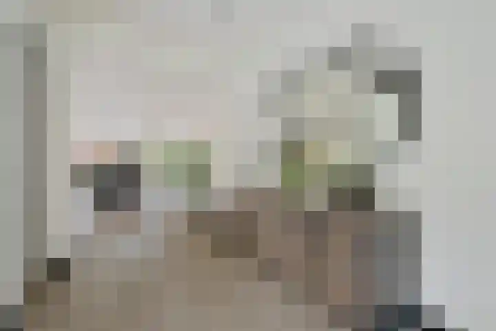 Seendstraat 1 Sleen thumbnail 13