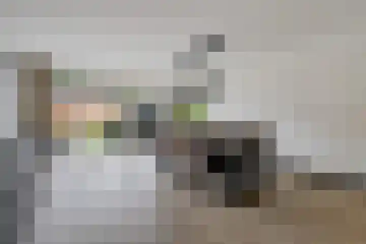 Seendstraat 1 Sleen thumbnail 18