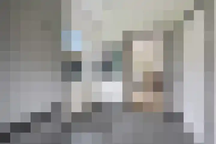 Seendstraat 1 Sleen thumbnail 20