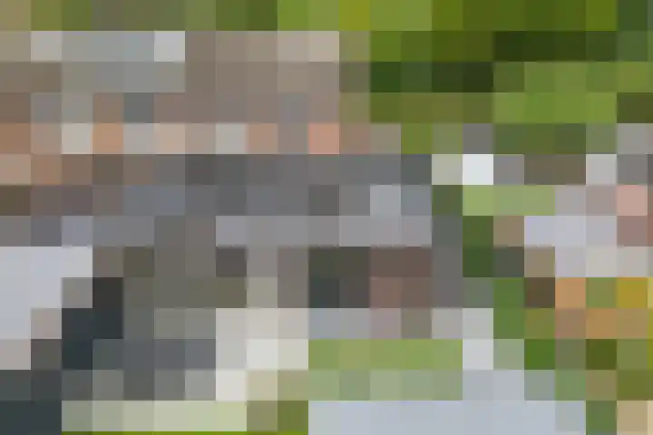 Seendstraat 1 Sleen thumbnail 41