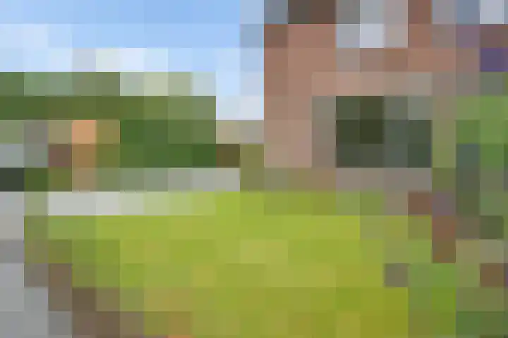Seendstraat 1 Sleen thumbnail 43