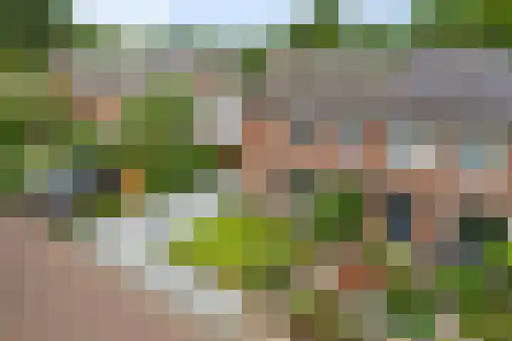 Seendstraat 1 Sleen thumbnail 46