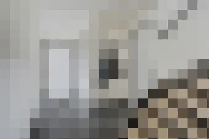Seendstraat 1 Sleen thumbnail 6
