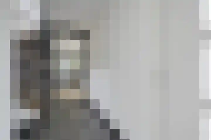 Seendstraat 1 Sleen thumbnail 7
