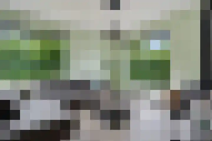 Seendstraat 1 Sleen thumbnail 8