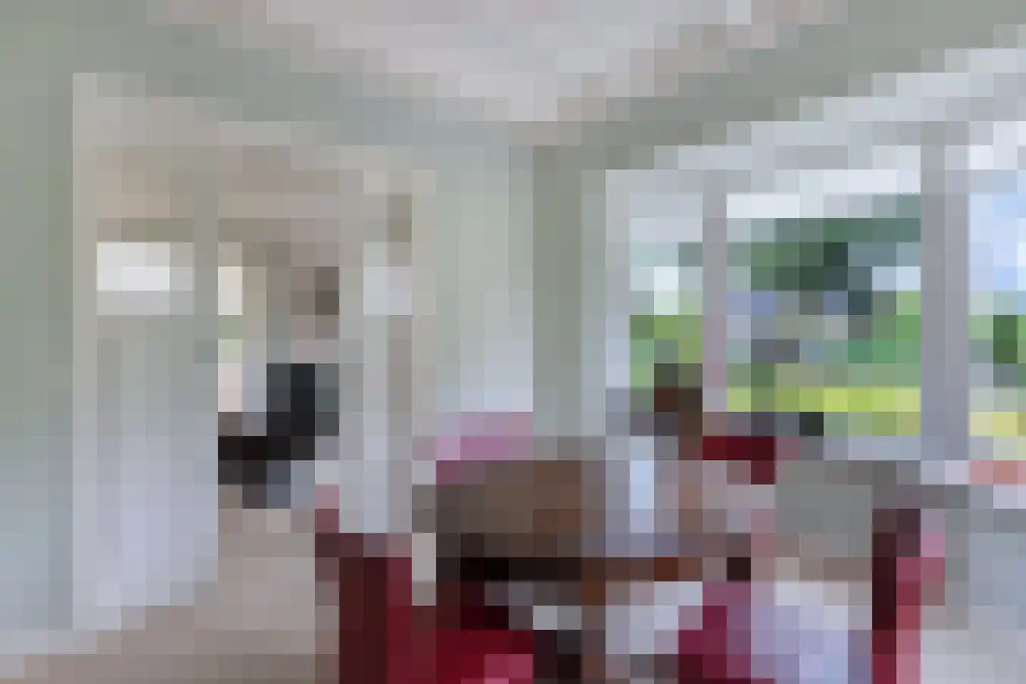Seerp van Galemawei 31 Mantgum thumbnail 11