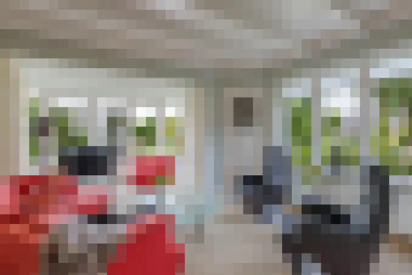 Seerp van Galemawei 31 Mantgum thumbnail 14