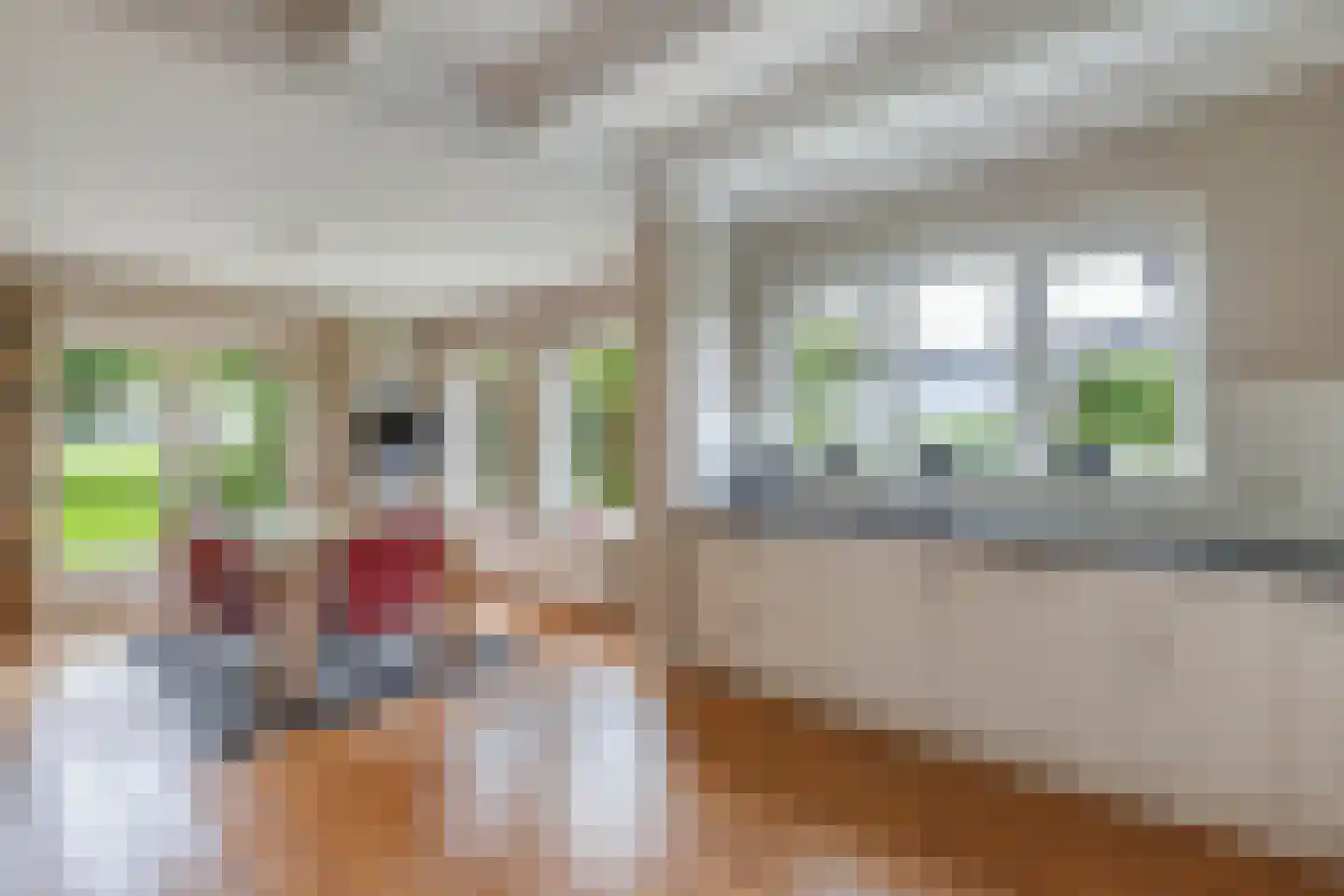 Seerp van Galemawei 31 Mantgum thumbnail 19