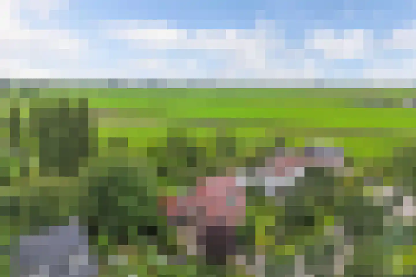 Seerp van Galemawei 31 Mantgum foto 2
