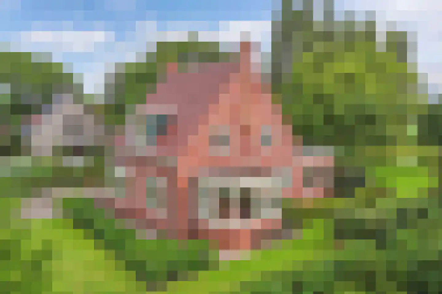 Seerp van Galemawei 31 Mantgum foto 3