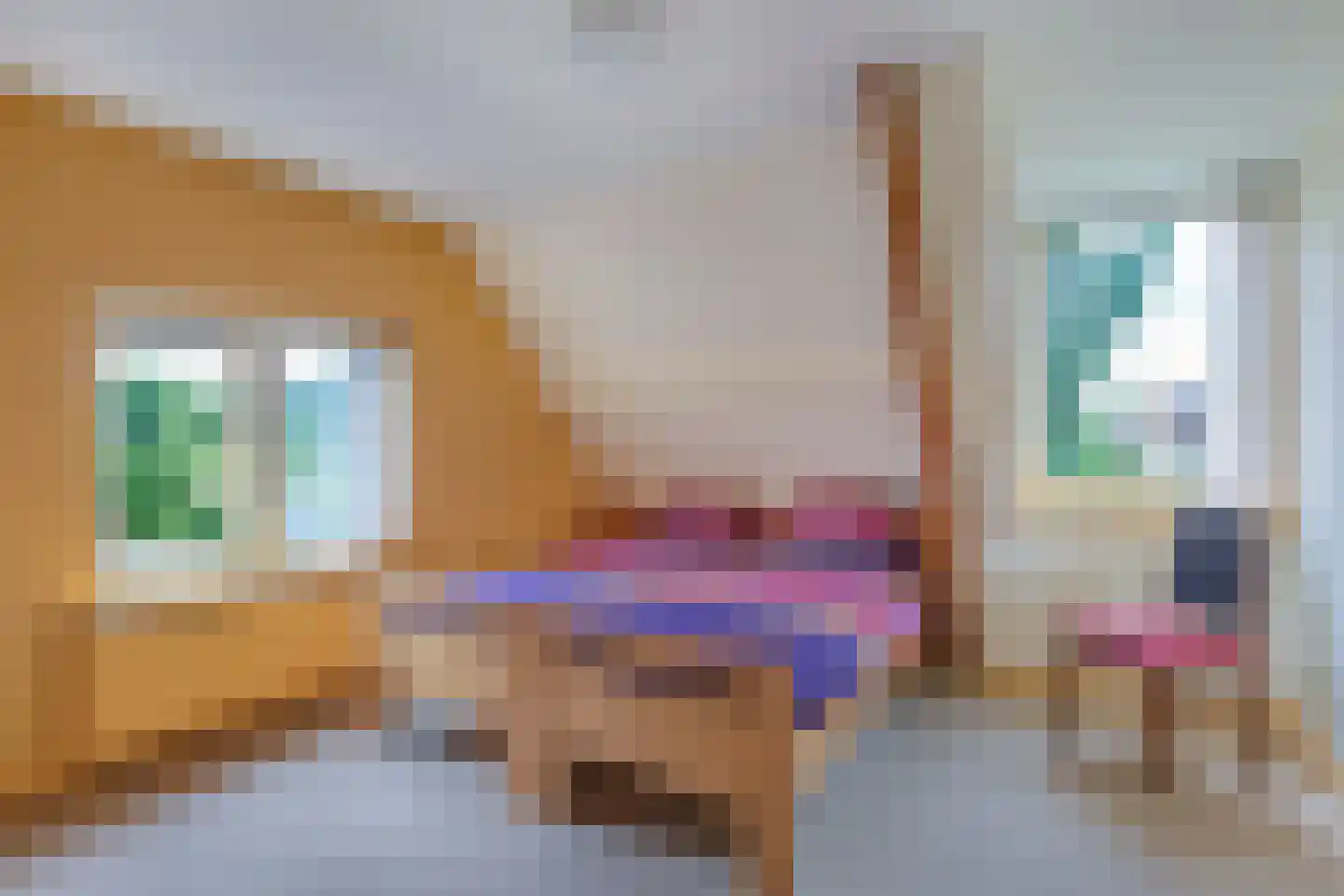 Seerp van Galemawei 31 Mantgum thumbnail 36