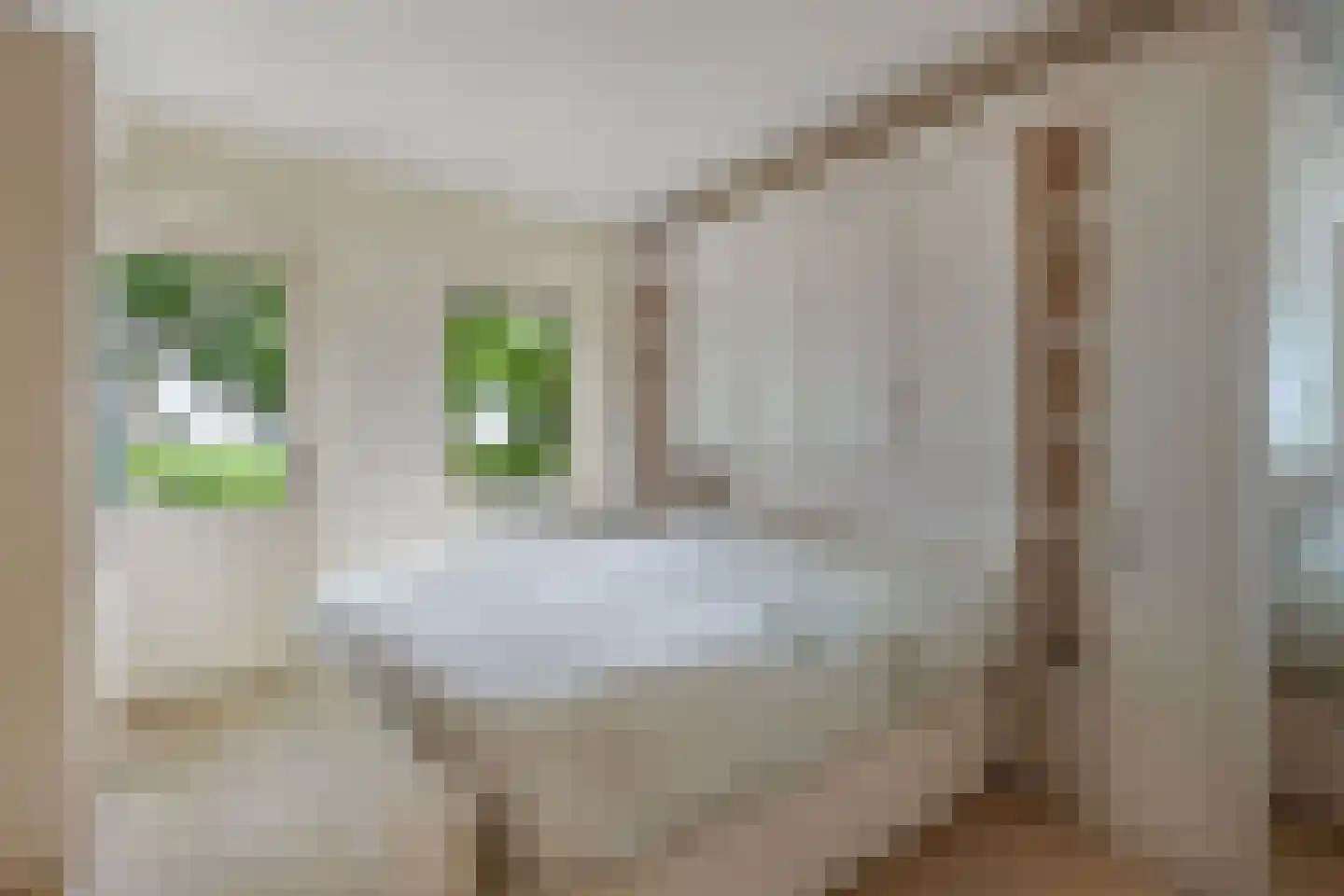 Seerp van Galemawei 31 Mantgum thumbnail 38