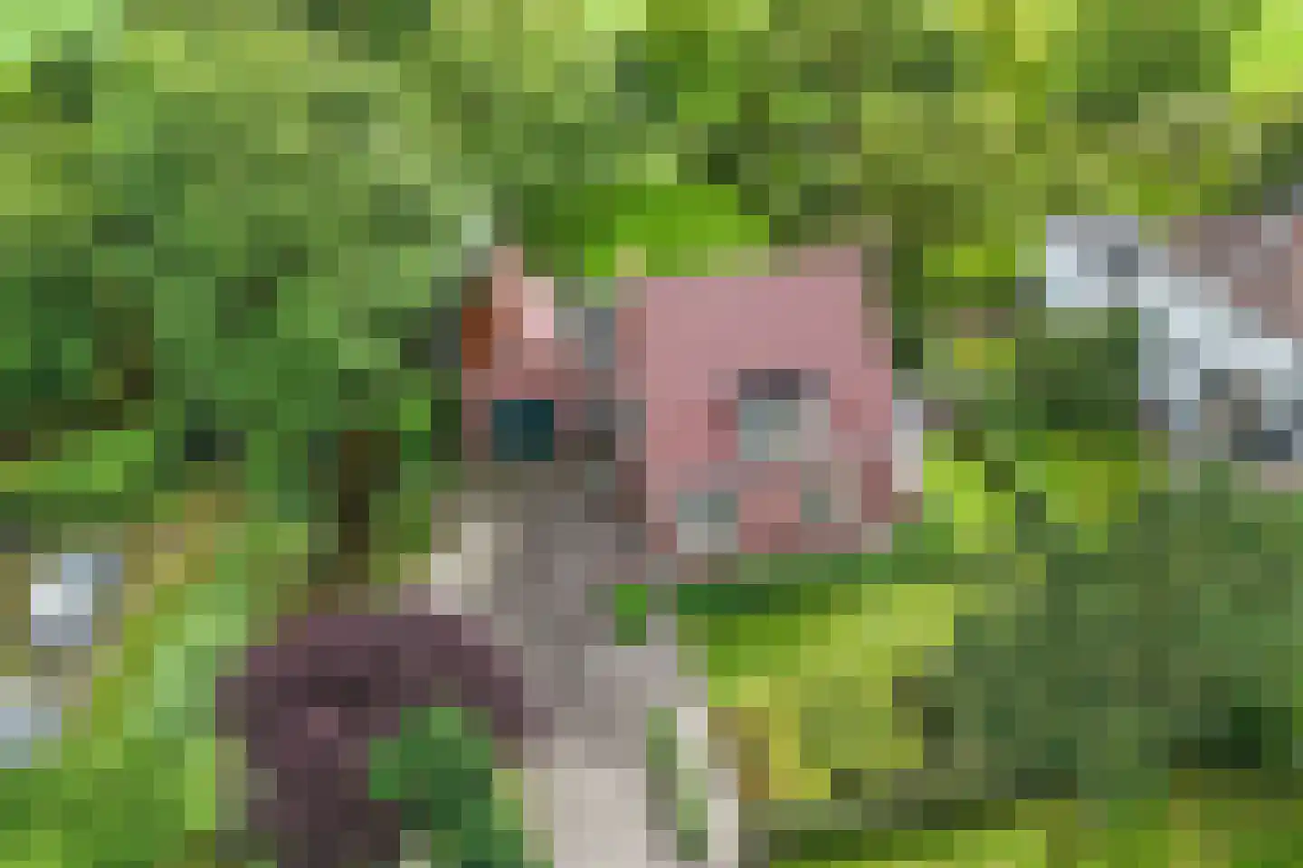 Seerp van Galemawei 31 Mantgum thumbnail 5