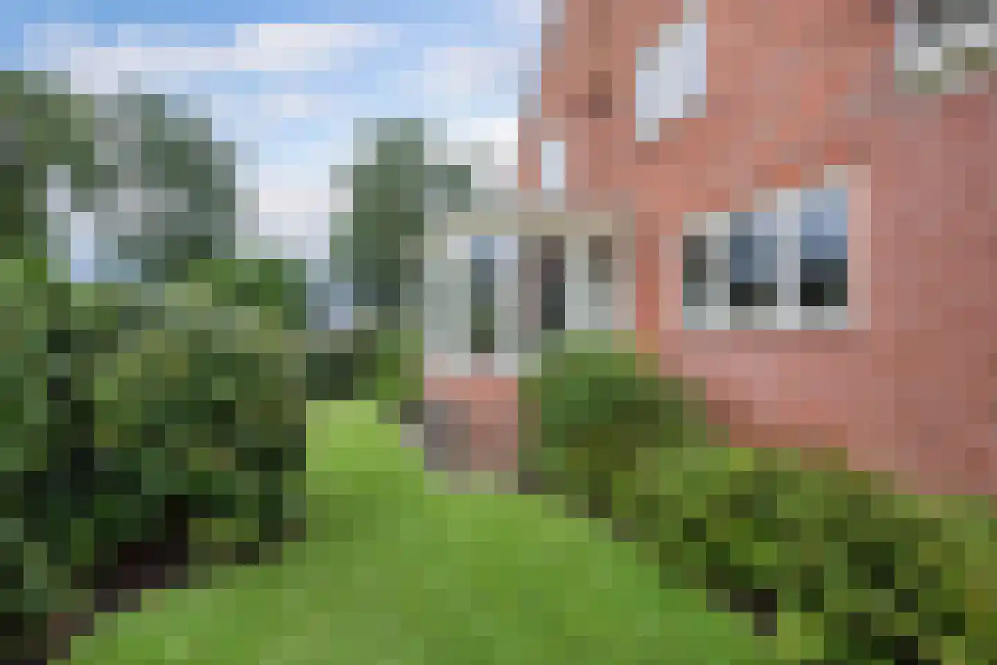 Seerp van Galemawei 31 Mantgum thumbnail 52