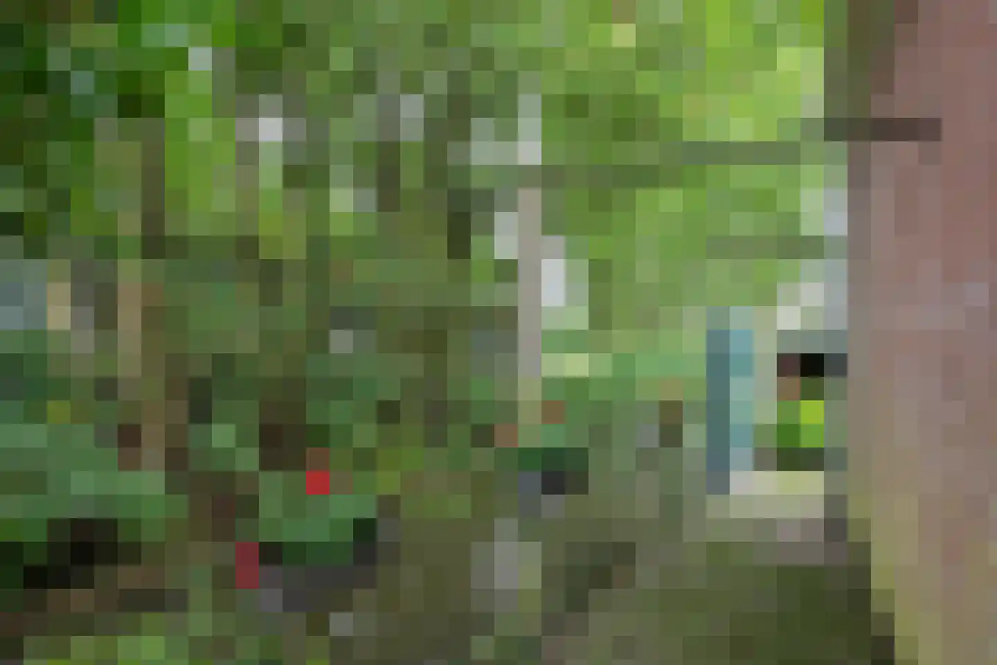 Seerp van Galemawei 31 Mantgum thumbnail 53