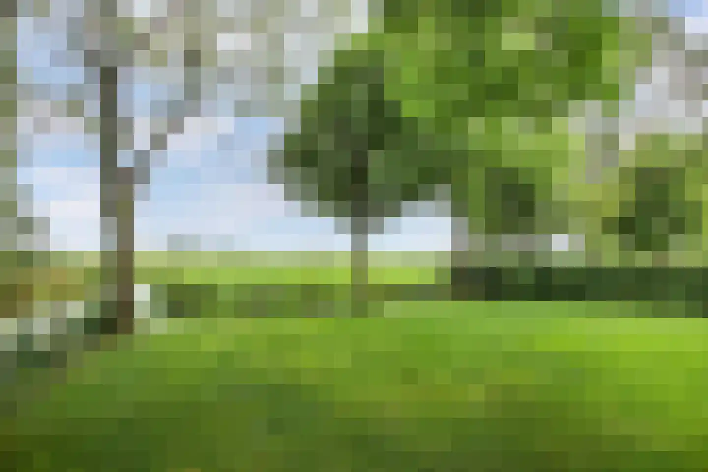 Seerp van Galemawei 31 Mantgum thumbnail 57