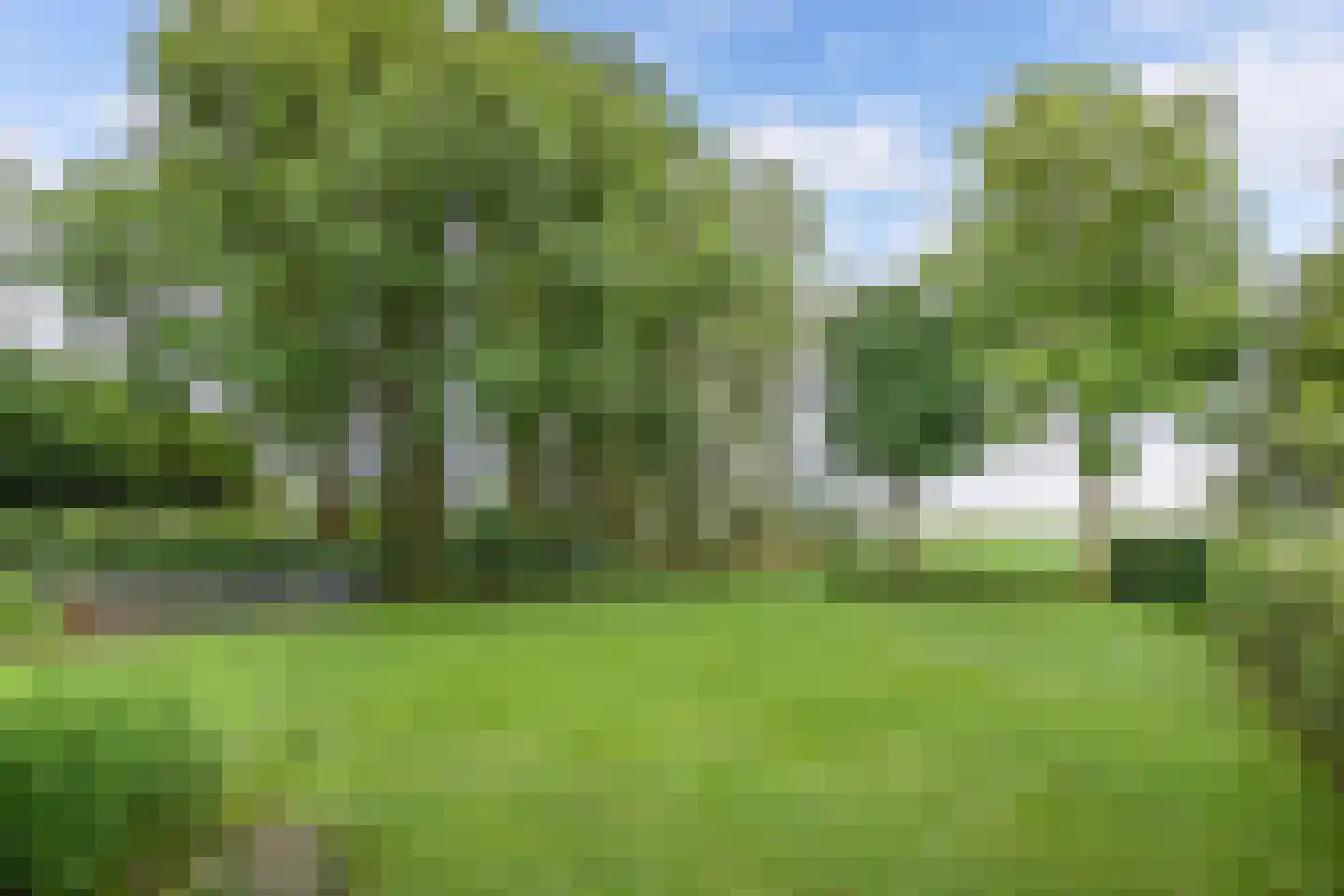 Seerp van Galemawei 31 Mantgum thumbnail 58