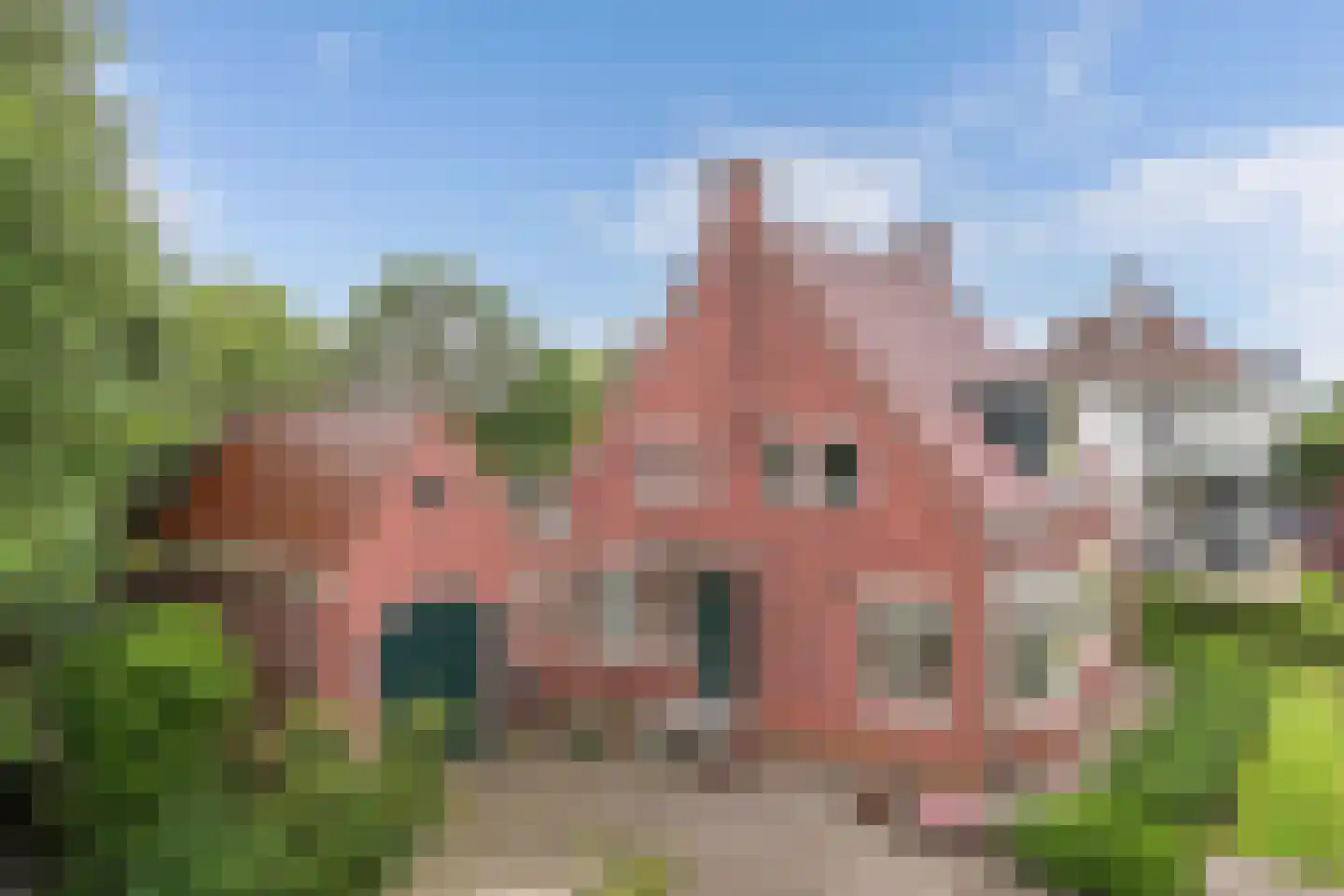 Seerp van Galemawei 31 Mantgum thumbnail 59