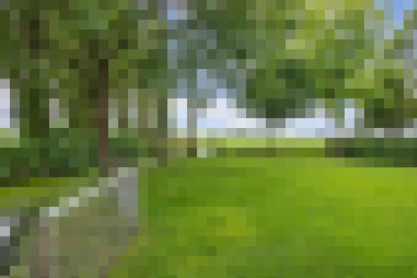 Seerp van Galemawei 31 Mantgum thumbnail 6