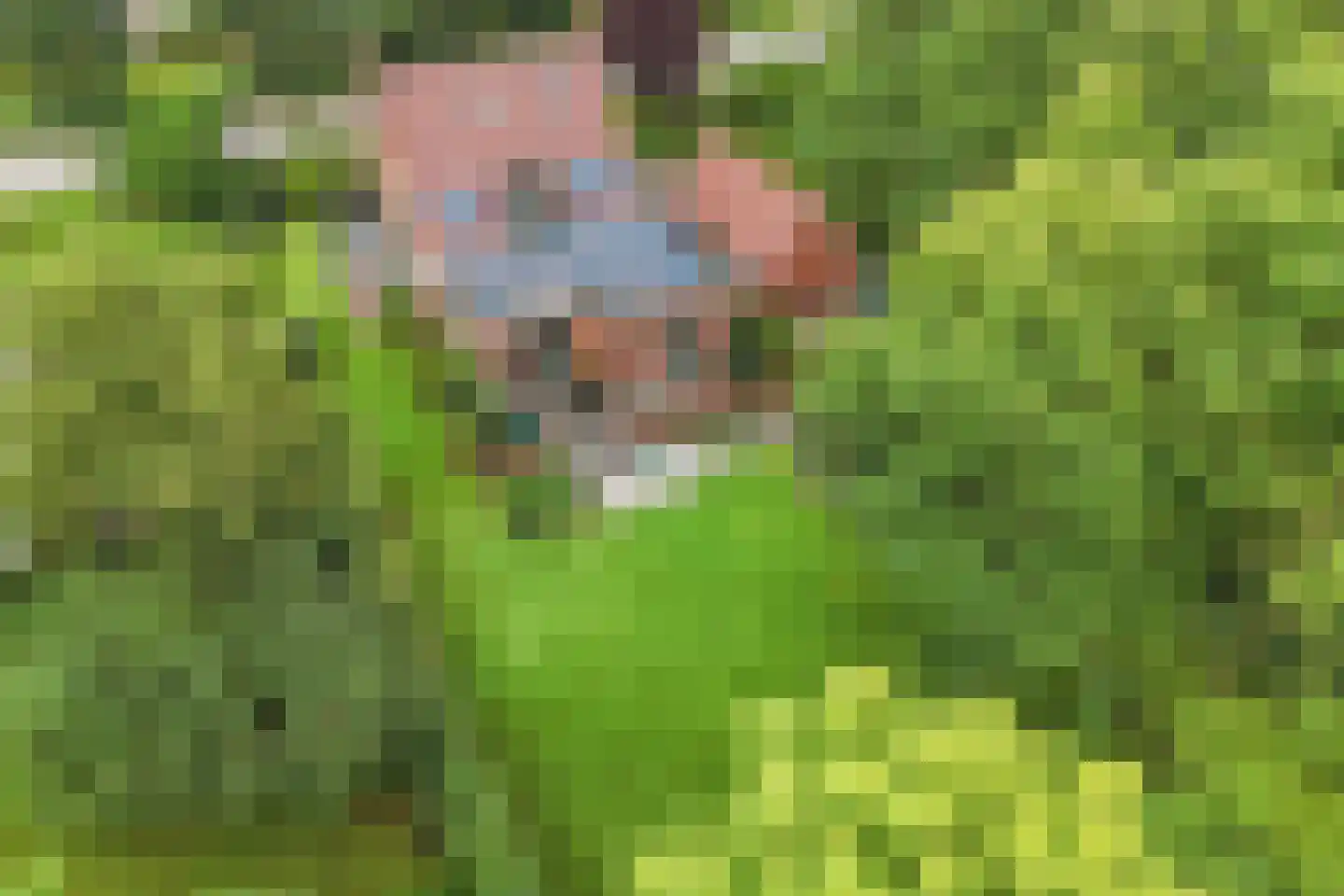 Seerp van Galemawei 31 Mantgum thumbnail 64