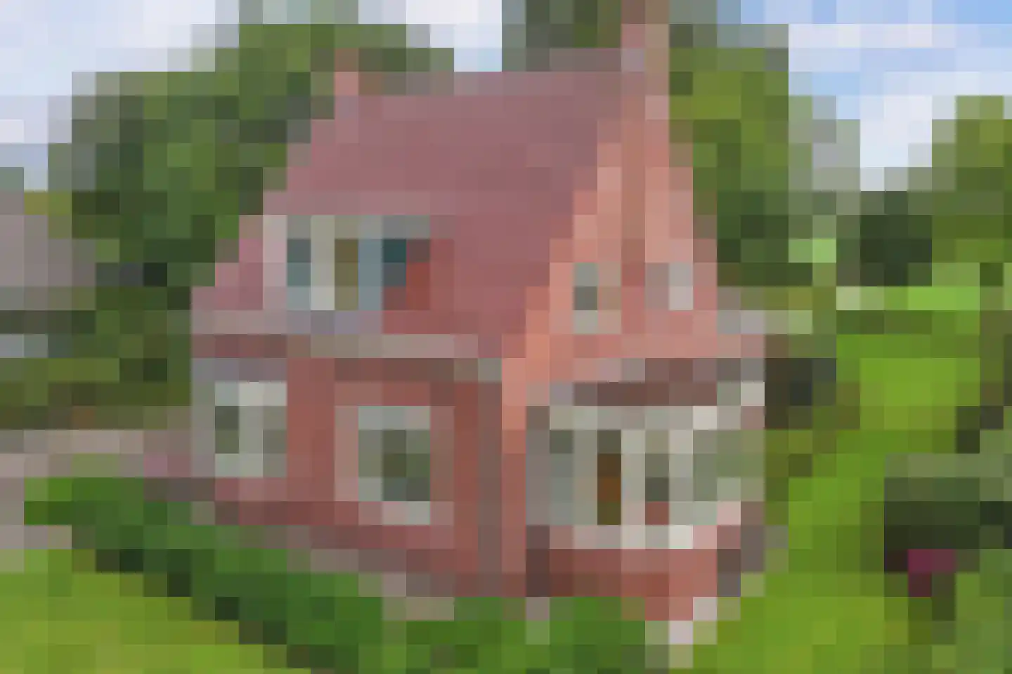 Seerp van Galemawei 31 Mantgum thumbnail 7