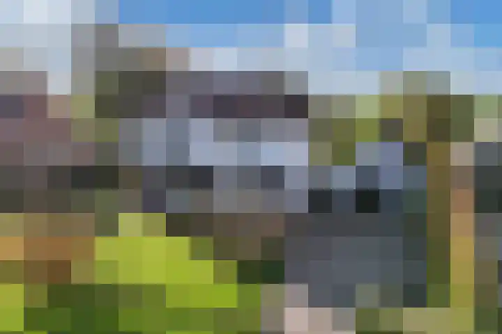 Seerp van Galemawei 33 in Mantgum