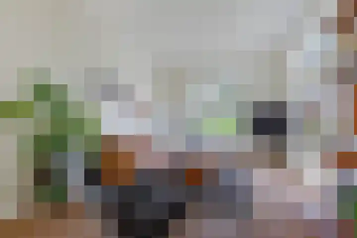 Seerp van Galemawei 33 Mantgum thumbnail 12