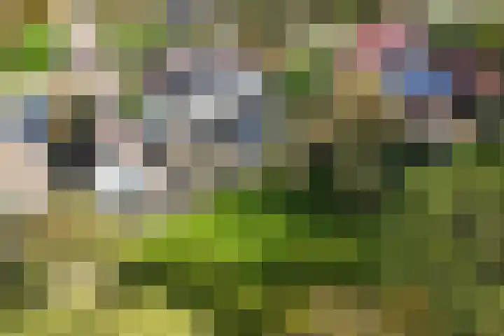 Seerp van Galemawei 33 Mantgum foto 2