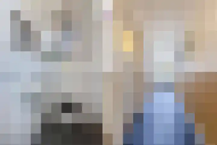 Seerp van Galemawei 33 Mantgum thumbnail 22