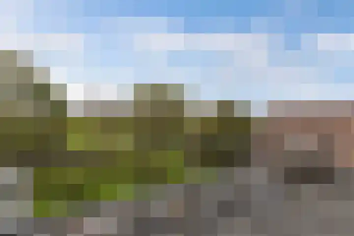 Seerp van Galemawei 33 Mantgum thumbnail 34