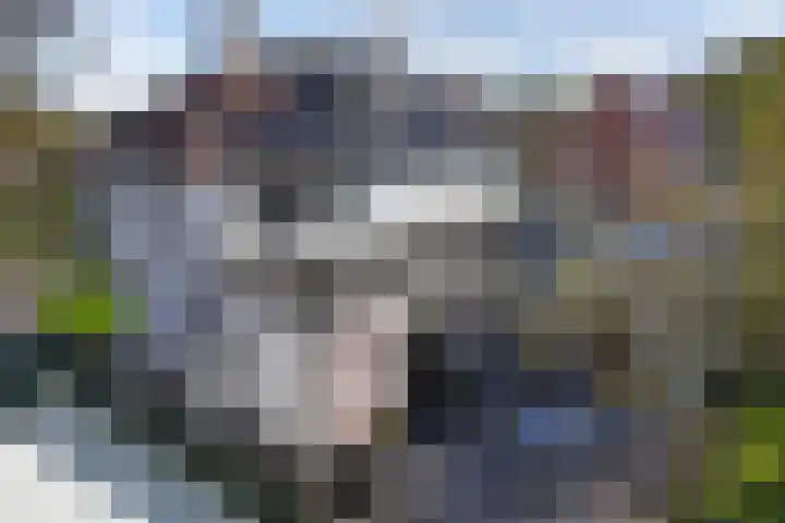 Seerp van Galemawei 33 Mantgum thumbnail 46