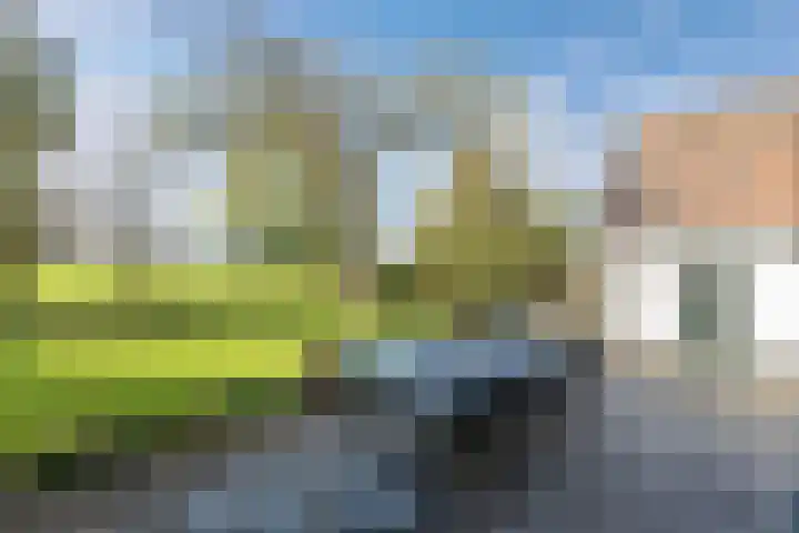 Seerp van Galemawei 33 Mantgum thumbnail 48