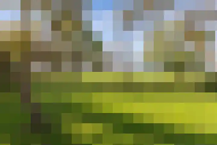 Seerp van Galemawei 33 Mantgum thumbnail 49