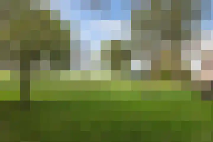 Seerp van Galemawei 33 Mantgum thumbnail 50