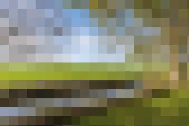 Seerp van Galemawei 33 Mantgum thumbnail 51