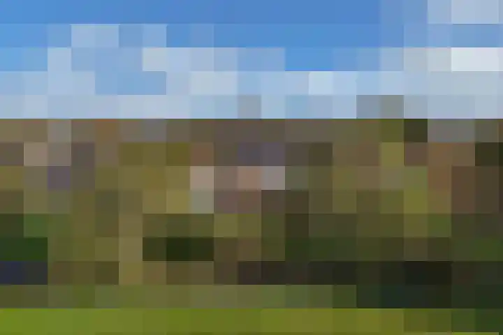 Seerp van Galemawei 33 Mantgum thumbnail 52