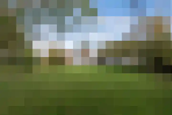 Seerp van Galemawei 33 Mantgum thumbnail 53