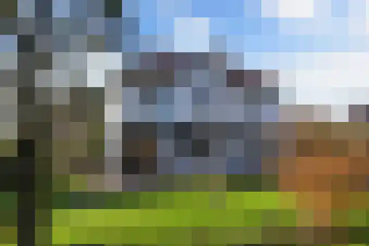 Seerp van Galemawei 33 Mantgum thumbnail 59