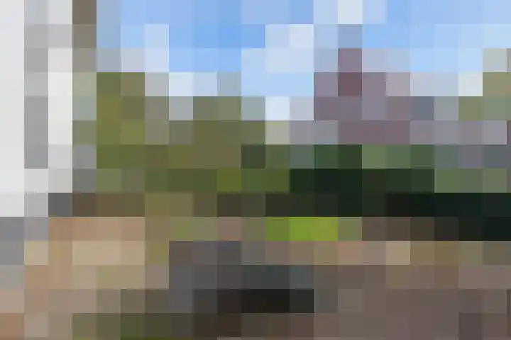 Seerp van Galemawei 33 Mantgum thumbnail 60