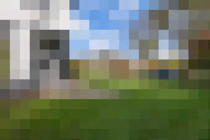 Seerp van Galemawei 33 Mantgum thumbnail 61