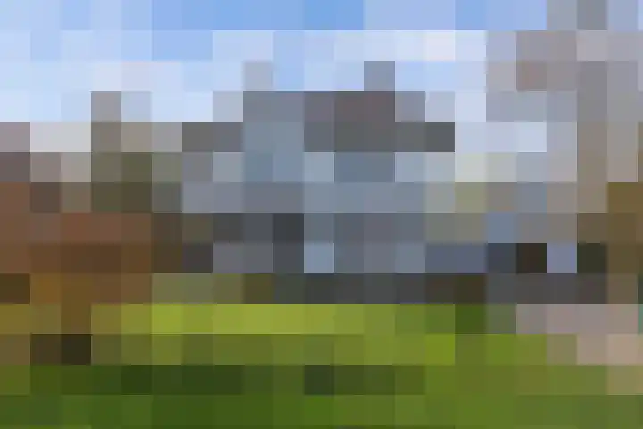 Seerp van Galemawei 33 Mantgum thumbnail 63
