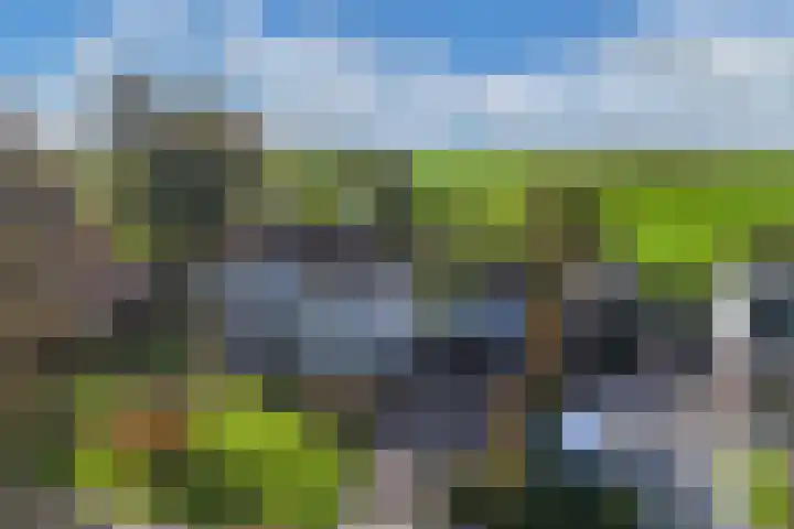 Seerp van Galemawei 33 Mantgum thumbnail 64