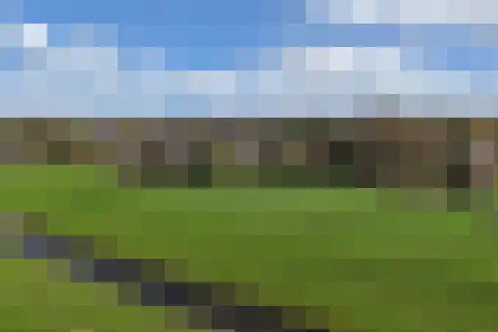 Seerp van Galemawei 33 Mantgum thumbnail 65