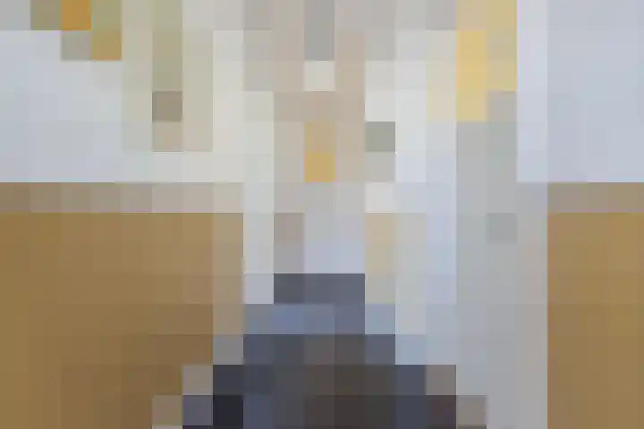 Seerp van Galemawei 33 Mantgum thumbnail 8